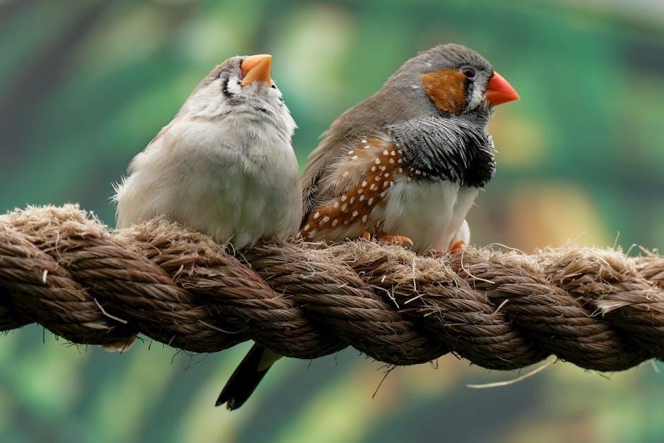 rope guide