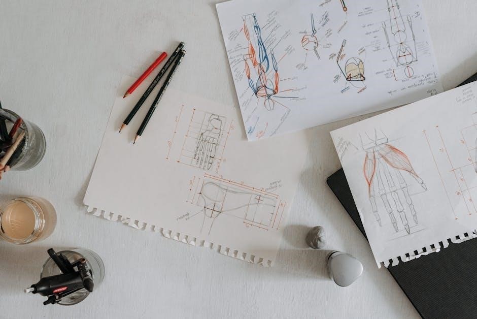 anatomy drawing pdf