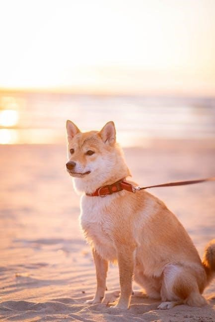 the other end of the leash pdf