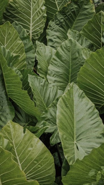 delta green need to know pdf